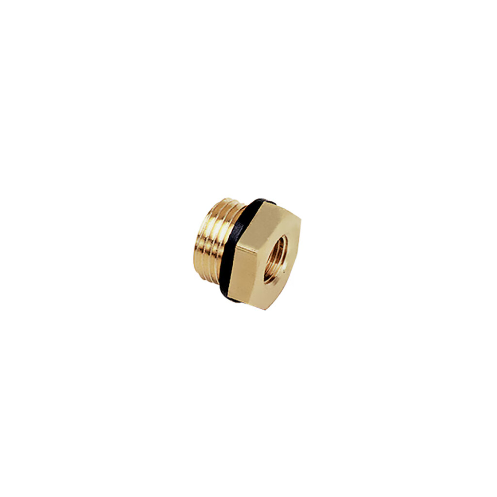 0168 10 19 Legris Verloopring (VR) 1/8"bspp x M5 (bu x bi)