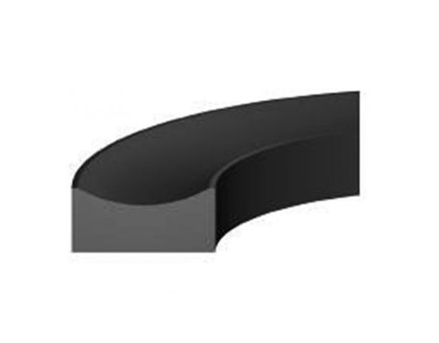Back-up ringen