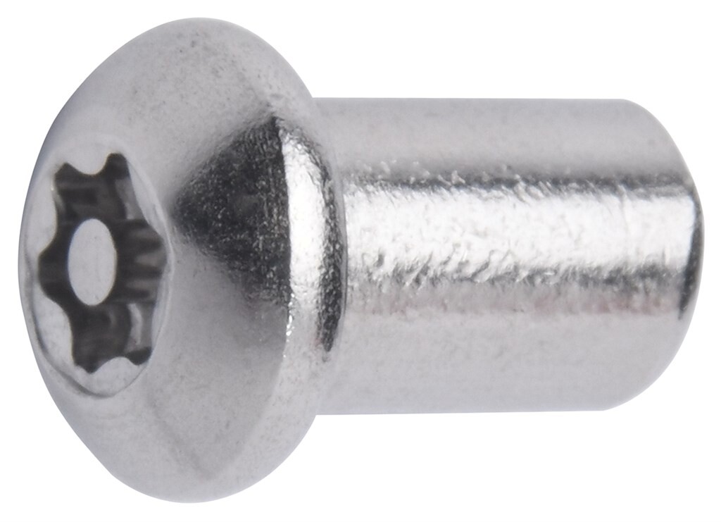M5x10 RVS A2 Laagbolkop hulsmoer T-ster/pin