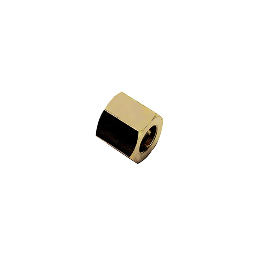 0155 10 10 Legris Sok messing 1/8"bspp binnendraad